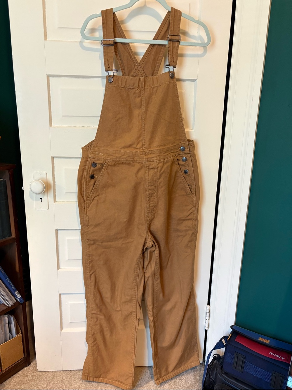Patagonia Point Reyes Nest Brown Canvas Overalls